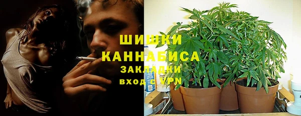 PSILOCYBIN Магадан