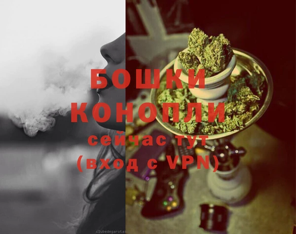 PSILOCYBIN Магадан