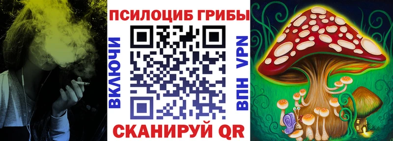 Купить где  Рузаевка  Галлюциногенные грибы Magic Shrooms 